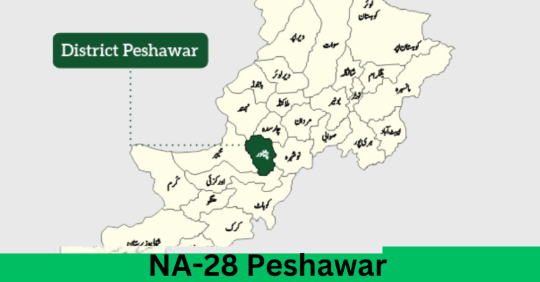 NA-28 Peshawar-I Election Result 2024