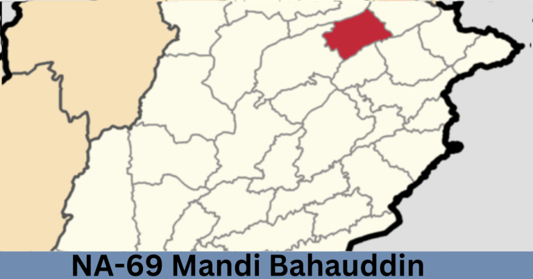 NA-69 Mandi Bahauddin-ll Election Result 2024
