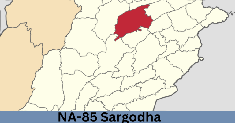 NA-85 Sargodha-lV Election Result 2024