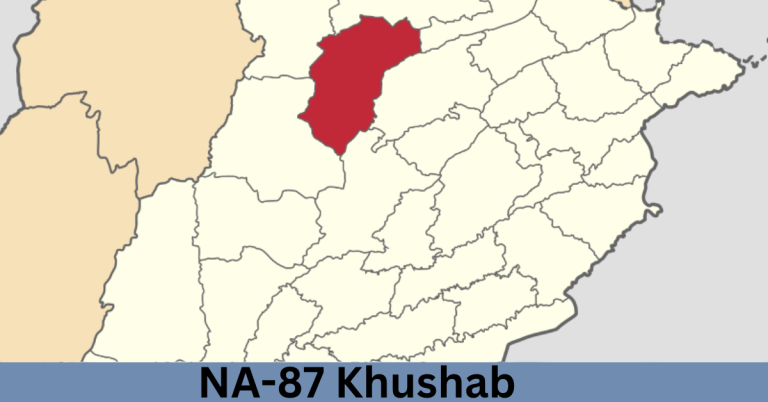 NA-87 Khushab-l Election Result 2024
