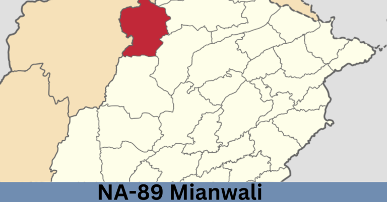 NA-89 Mianwali-l Election Result 2024