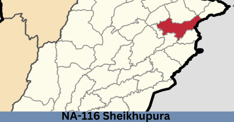 NA-116 Sheikhupura-lV Election Result 2024