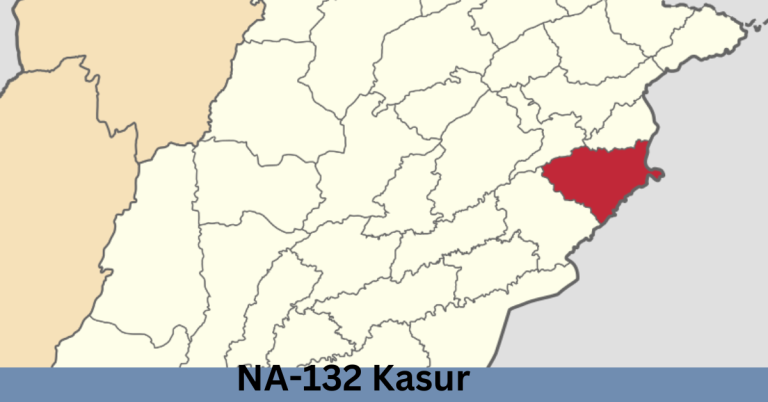 NA-132 Kasur-ll PTI Candidate 2024/Election Result 2024