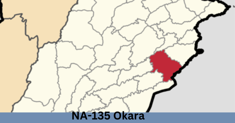 NA-135 Okara-l Election Result 2024