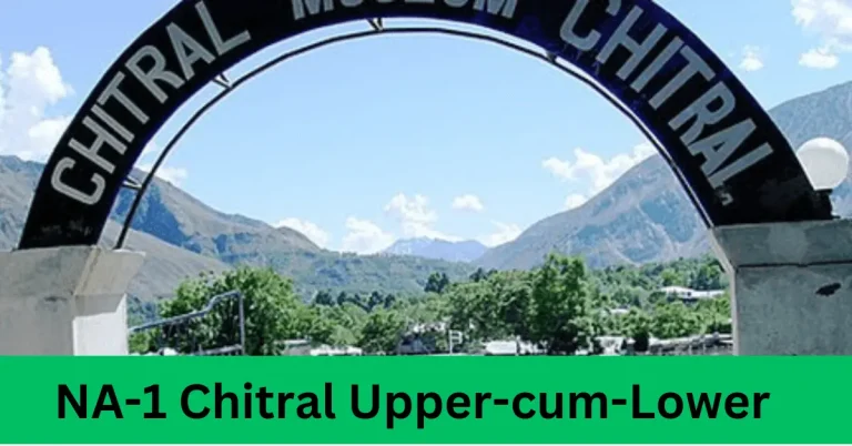 NA-1 Chitral Upper-cum-Chitral Lower Election Result 2024