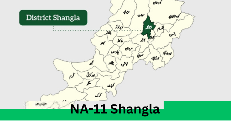 NA-11 Shangla Election Result 2024