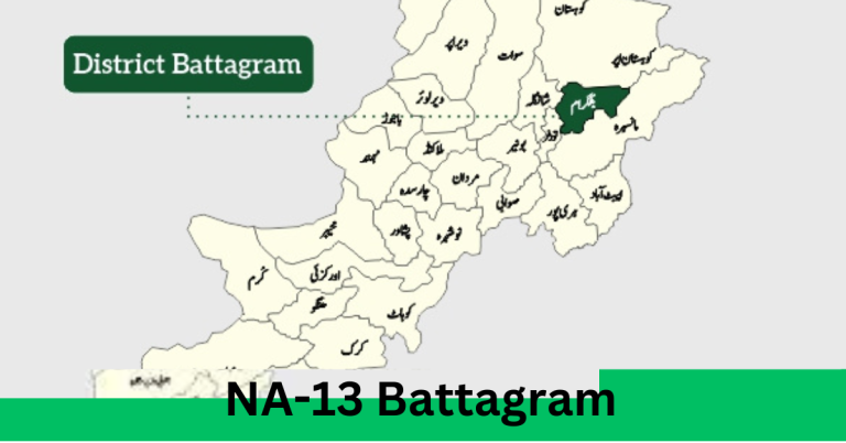 NA-13 Battagram Election Result 2024