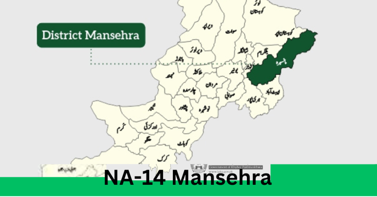 NA-14 Mansehra Election Result 2024