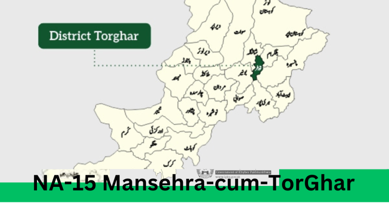 NA-15 Mansehra-cum-TorGhar Election Result 2024
