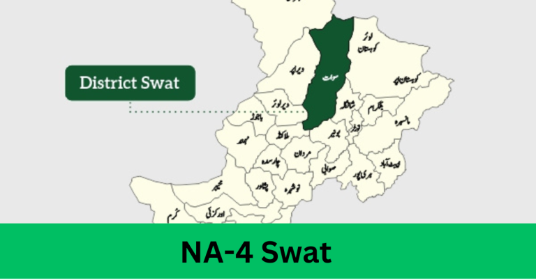 NA-4 Swat-III Election Result 2024