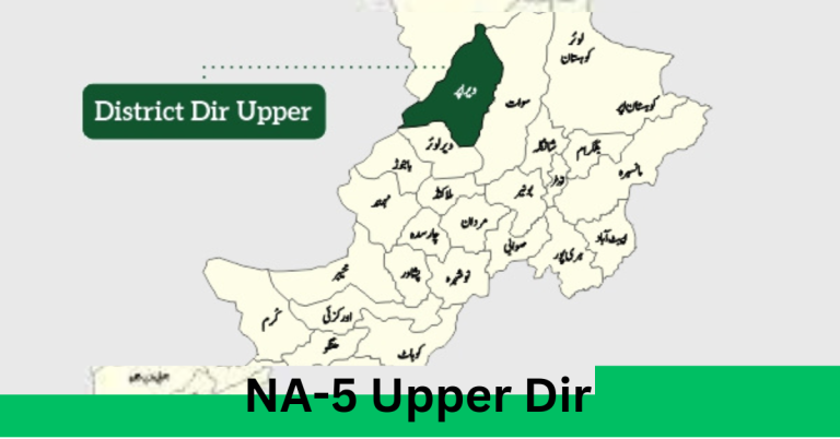 NA-5 Upper Dir Election Result 2024