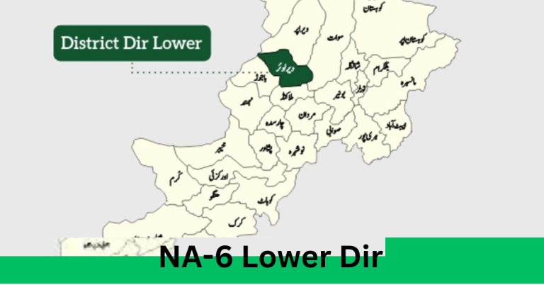NA-6 Lower Dir-I Election Result 2024