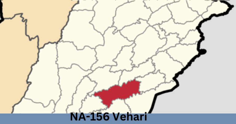 NA-156 Vehari-l Election Result 2024