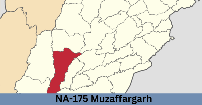 NA-175 Muzaffargarh-l Election Result 2024