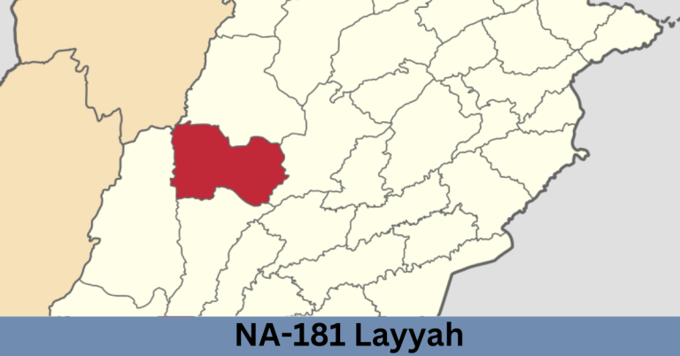NA-181 Layyah-l Election Result 2024