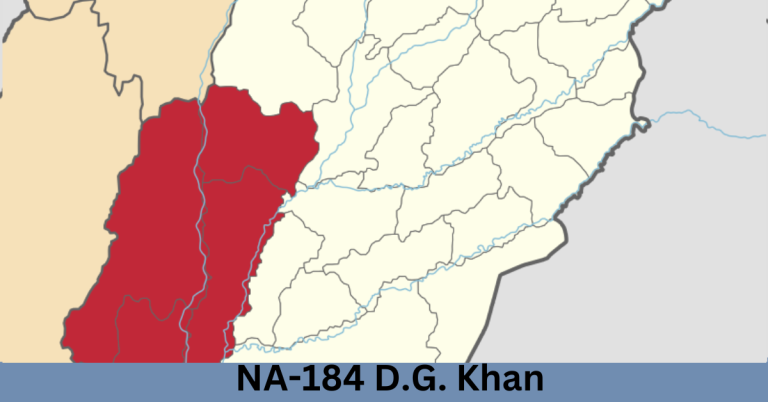 NA-184 D.G.Khan-l Election Result 2024