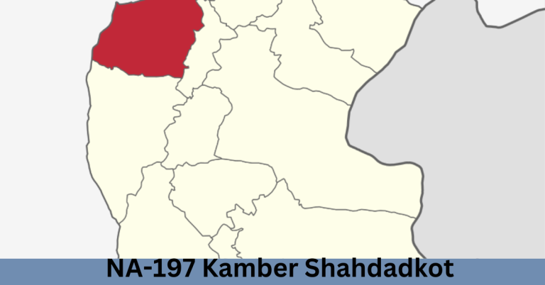 NA-197 Kamber Shahdadkot-ll Election Result 2024