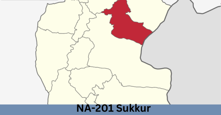 NA-201 Sukkur-ll Election Result 2024