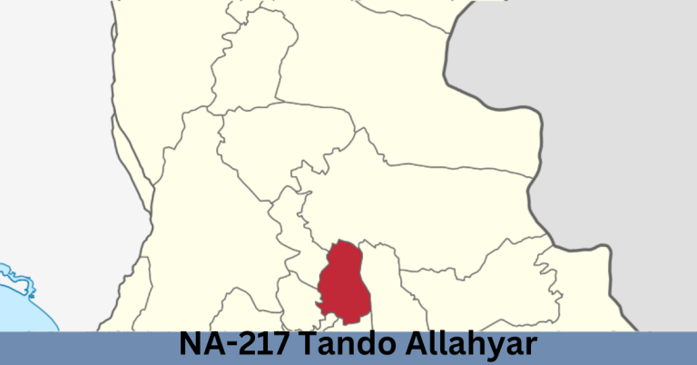 NA-217 Tando Allahyar Election Result 2024