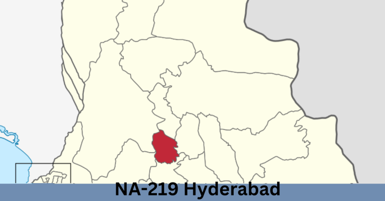 NA-219 Hyderabad-Il Election Result 2024