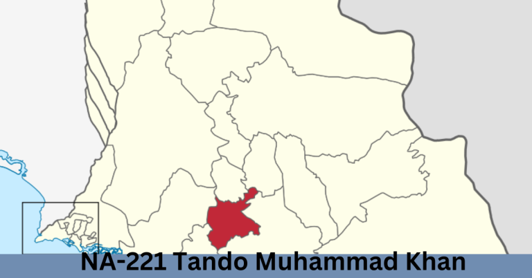 NA-221 Tando Muhammad Khan Election Result 2024