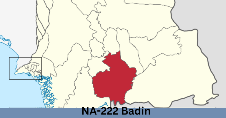 NA-222 Badin-I Election Result 2024