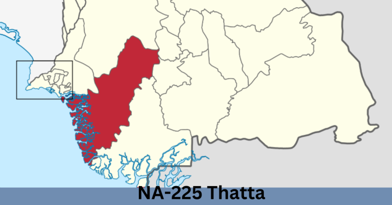 NA-225 Thatta Election Result 2024