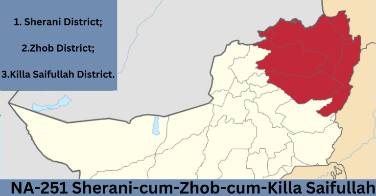 NA-251 Sherani-cum-Zhob-cum-Killa Saifullah Election Result 2024