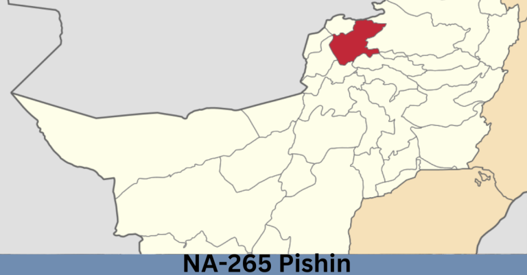 NA-265 Pishin Election Result 2024