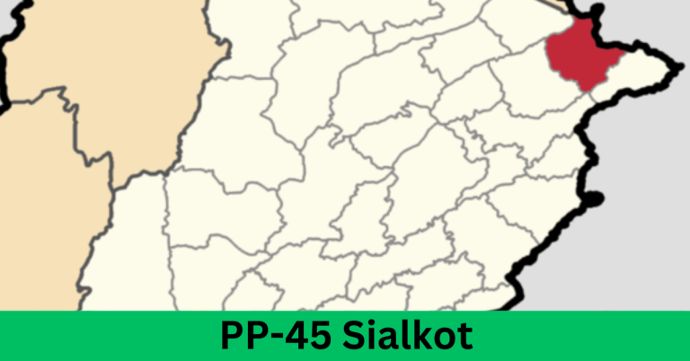 PP-45 Sialkot-ll Election Results 2024