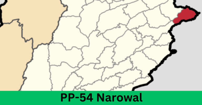 PP-54 Narowal-I Election Result 2024
