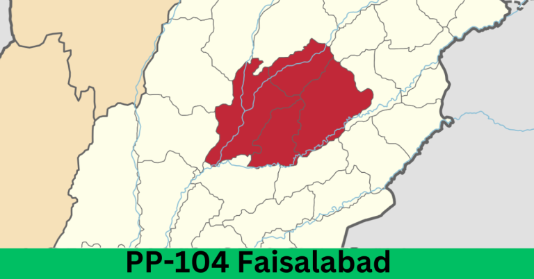 PP-104 Faisalabad-VII Election Result 2024