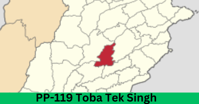 PP-119 Toba Tek Singh-I Election Result 2024