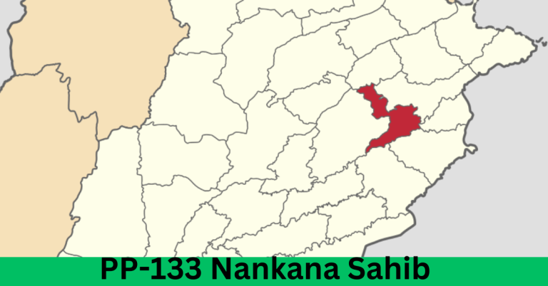 PP-133 Nankana Sahib-II Election Result 2024