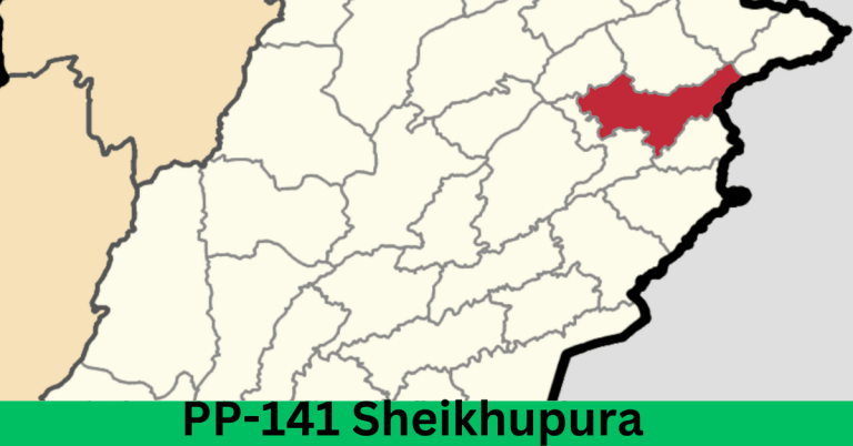 PP-141 Sheikhupura-VI Election Result 2024
