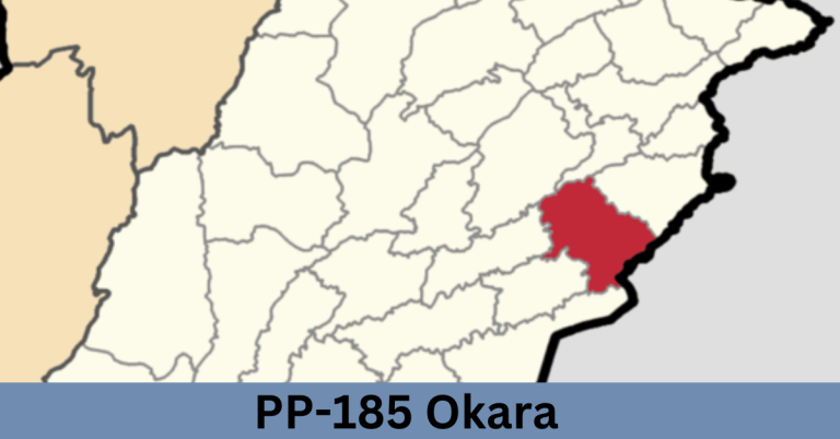 PP-185 Okara-I Election Result 2024