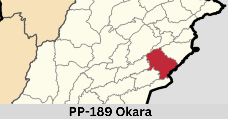 PP-189 Okara-V Election Result 2024
