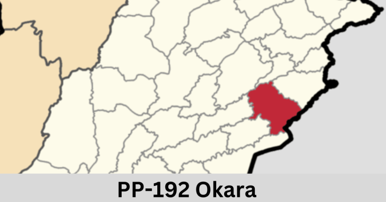 PP-192 Okara-VIII Election Result 2024