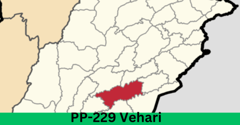 PP-229 Vehari-I Election Result 2024