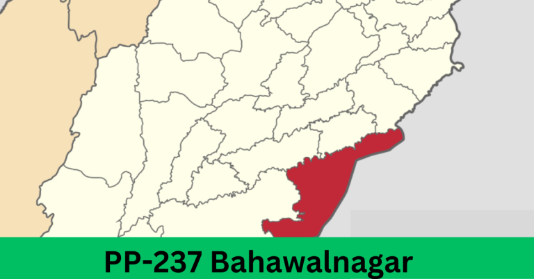 PP-237 Bahawalnagar-I Election Result 2024