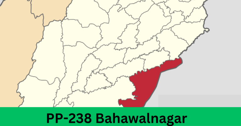 PP-238 Bahawalnagar-II Election Result 2024