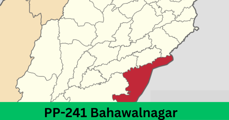 PP-241 Bahawalnagar-V Election Result 2024