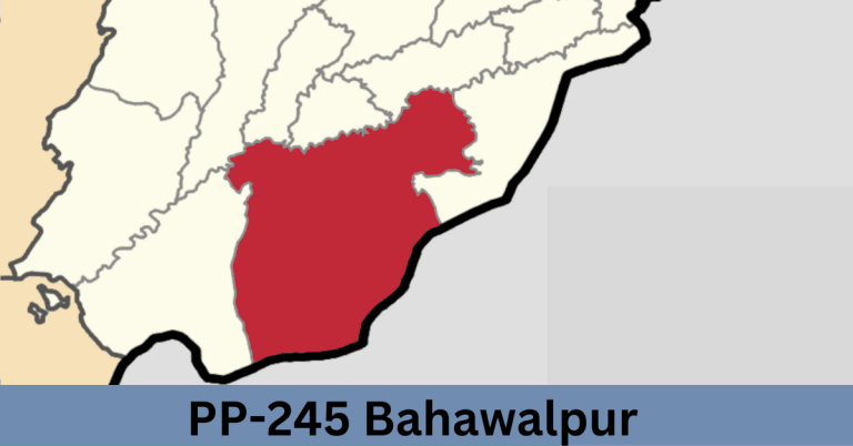 PP-245 Bahawalpur-I Election Result 2024