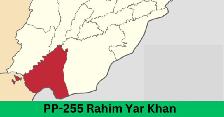 PP-255 Rahim Yar Khan-I Election Result 2024